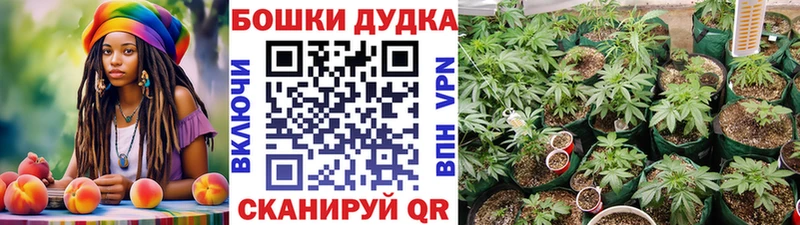 Наркота Черепаново Метамфетамин А ПВП Меф мяу мяу Каннабис КОКАИН ГАШ Амфетамин