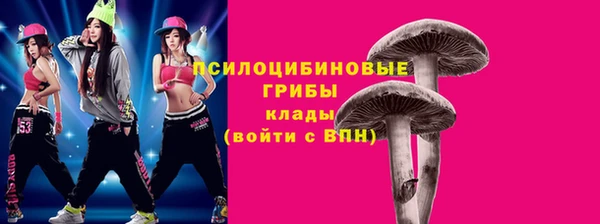 мяу мяу мука Алексин