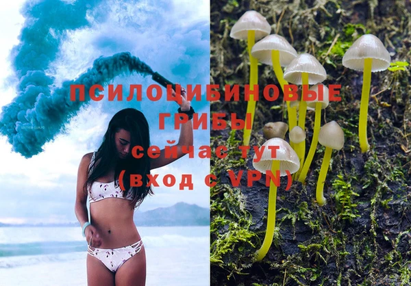 каннабис Алексеевка